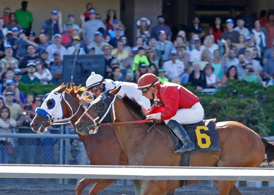 3_Emerald Downs