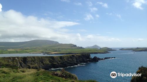 Bray Head