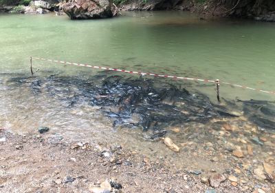 Sungai Moroli Fish Massage