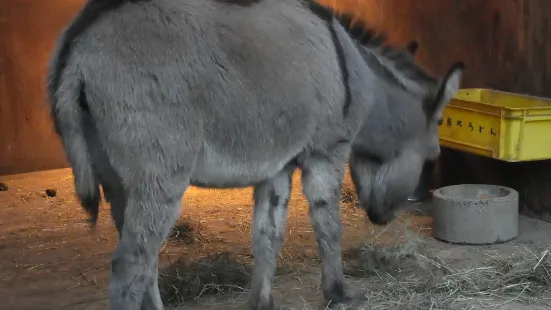 須阪市動物園