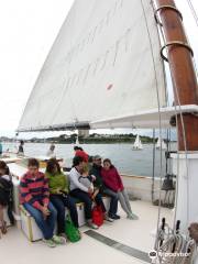 Maine Sailing Adventures