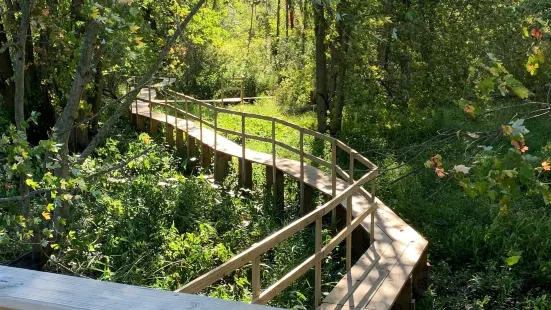 Sarett Nature Center