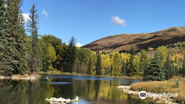 Аспен Сентер фор Энвиронментал Студис