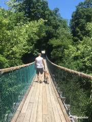 Foxfire Mountain Swinging Bridge