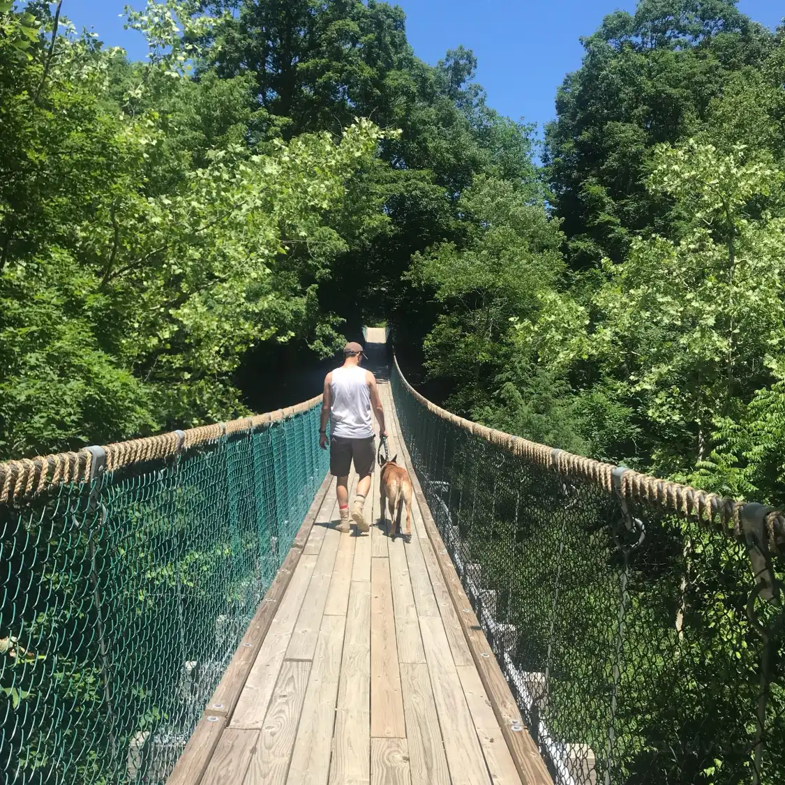Hotels near Foxfire Mountain Swinging Bridge