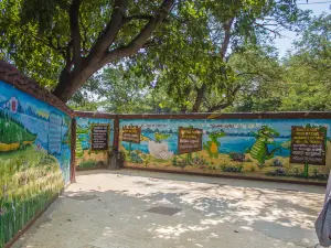Crocodile Park