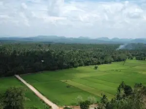Dambadeniya Maliga Gala