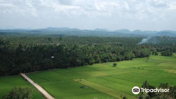 Kurunegala