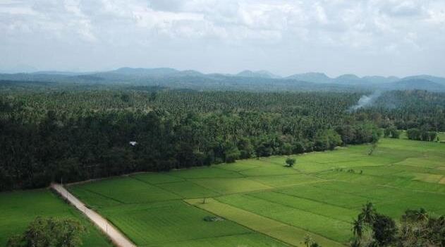 Dambadeniya Maliga Gala