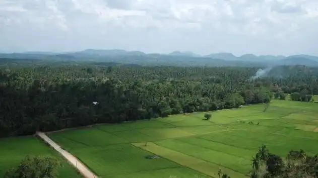 Dambadeniya Maliga Gala