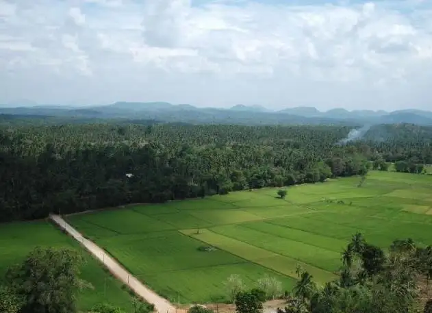1_Dambadeniya Maliga Gala