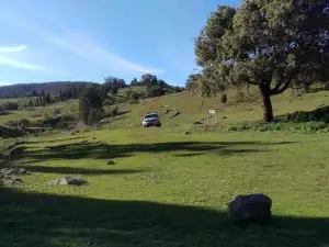 Nangar National Park