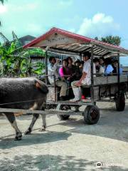 Water Buffalo Carriage Nitta Kanko