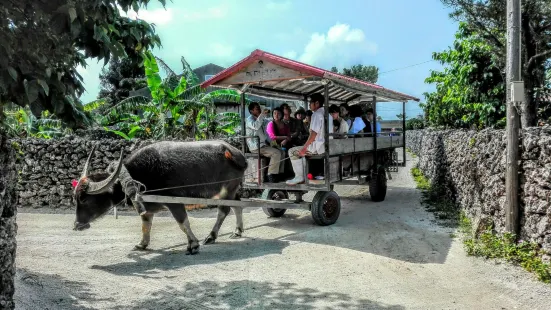 Water Buffalo Carriage, Nitta Kanko