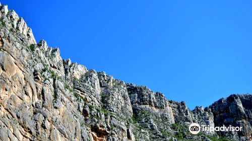 Parque la Huasteca