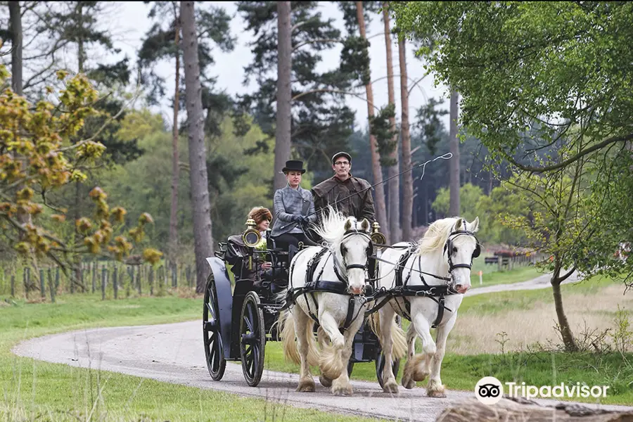 The Horse Drawn Carriage Company