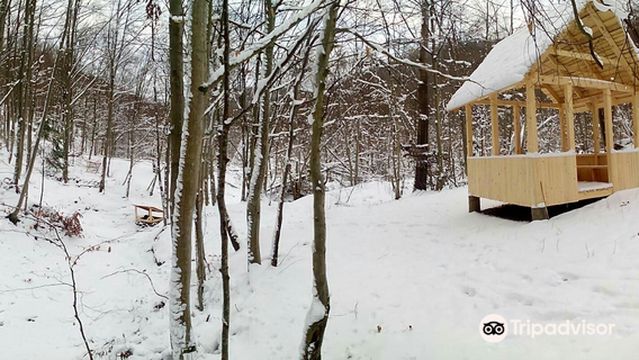 Hutsulshchyna National Park