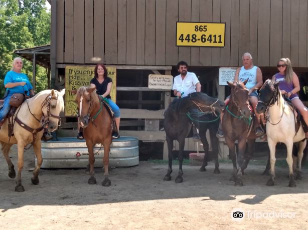 Davy Crockett Riding Stables