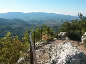 Bosco Sacro