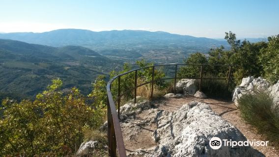 Bosco Sacro