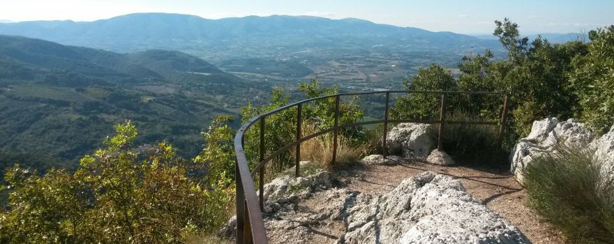 Bosco Sacro