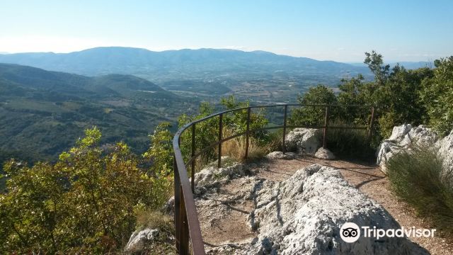 Bosco Sacro