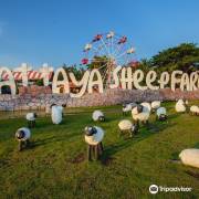 Активный отдых