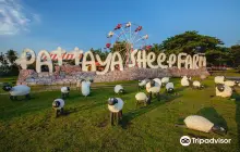 Family Park Pattaya Sheep Farm
