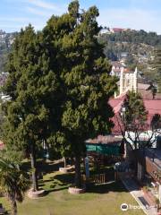 Mussoorie Heritage Centre