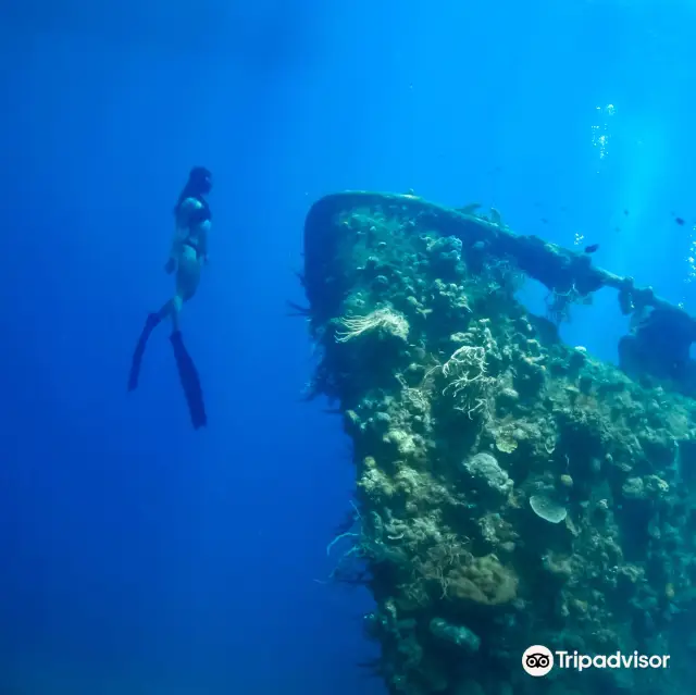 Diving in Coron