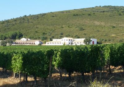 Bodega Dehesa del Carrizal