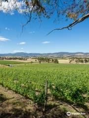 Domaine A Stoney Vineyard