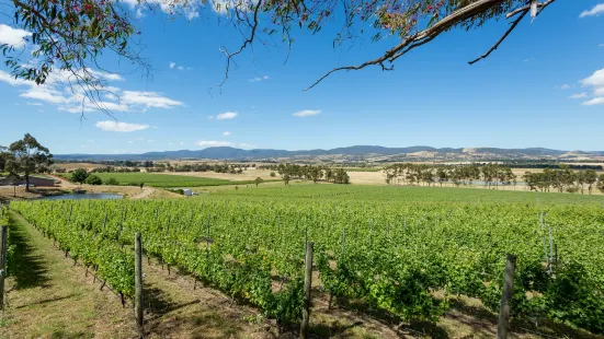 Domaine A Stoney Vineyard