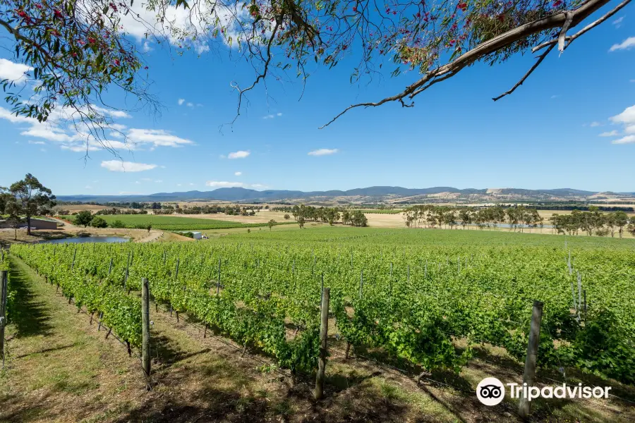 Domaine A Stoney Vineyard