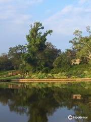 Bellingrath Gardens and Home