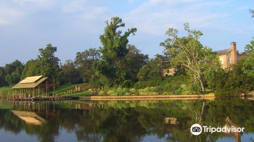 Bellingrath Gardens and Home