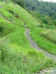 Green View Mountain Cycling