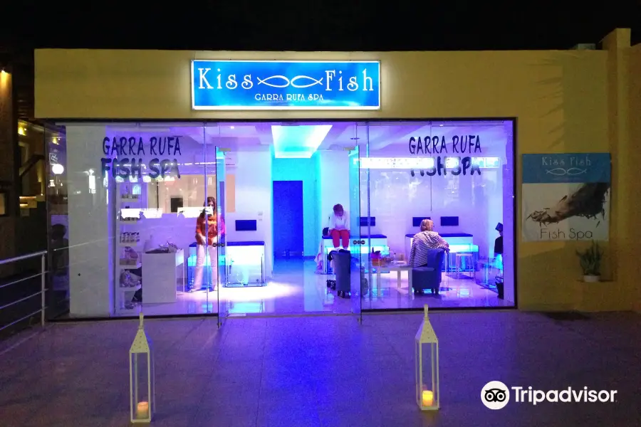 Kiss Fish Spa