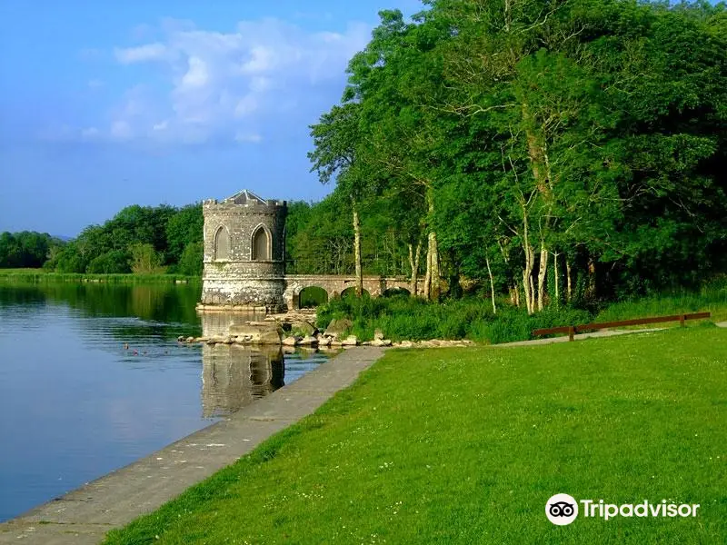 Lough Key Forest & Activity Park