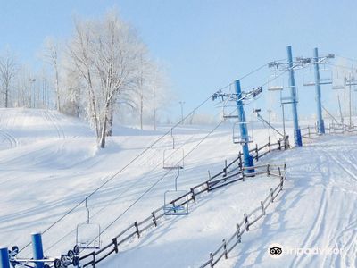 Snow Snake Ski & Golf