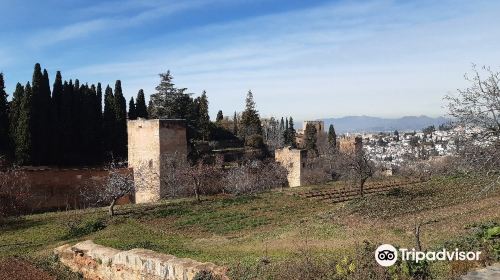 Generalife