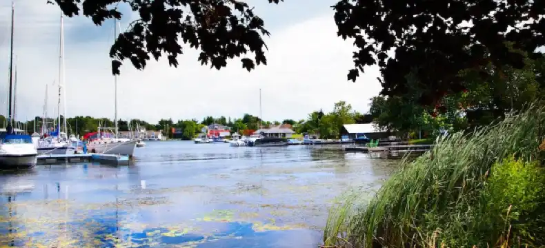 Hotels in Hounsfield