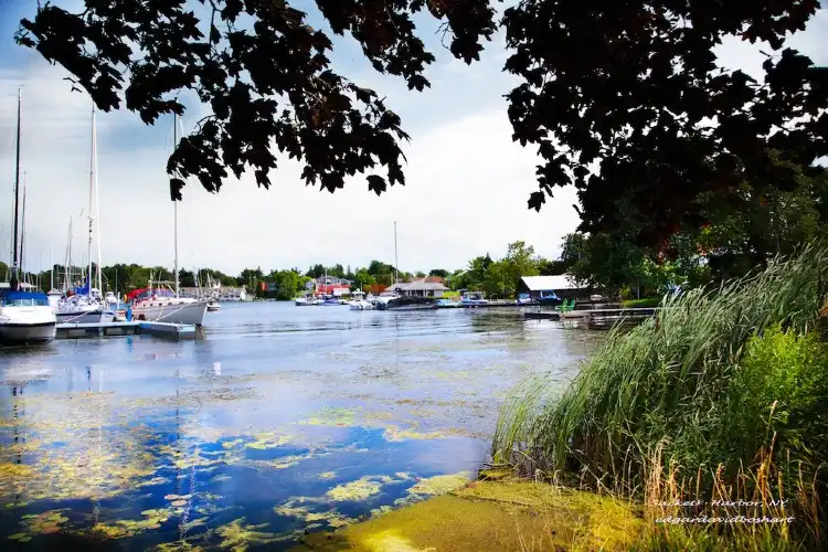 Hotels in Hounsfield