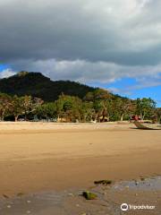 Gloucester Island National Park