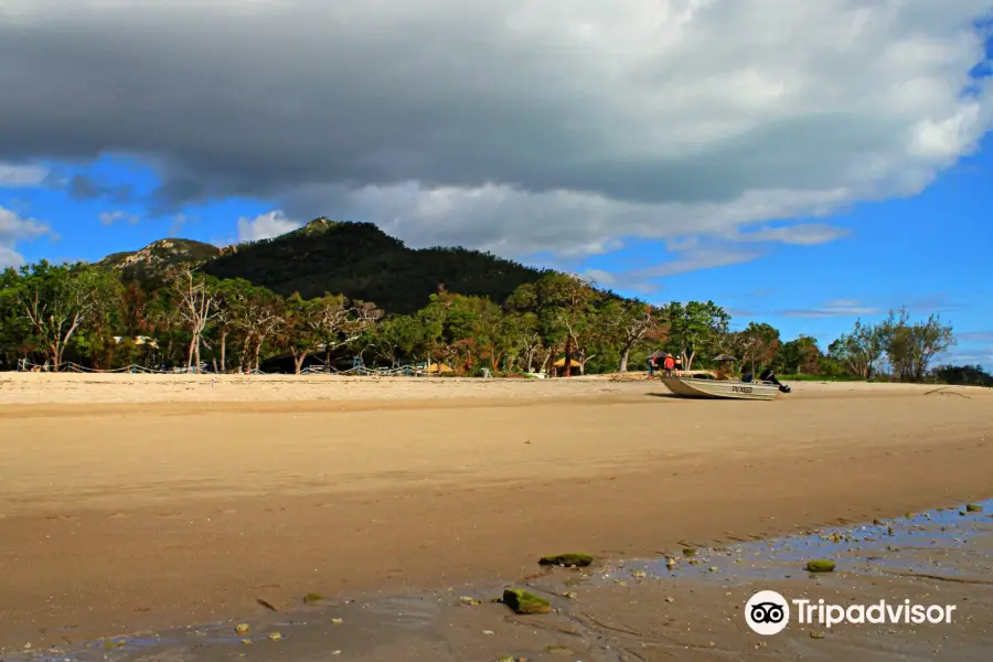 Gloucester Island National Park