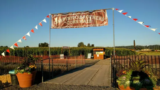 Carpinito Bros Pumpkin Patch & Corn Maze