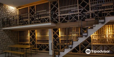 Vinarija Jeremic