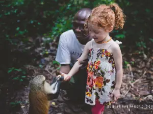 Tafi Atome Monkey Sanctuary And Cultural Village