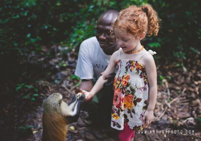 Tafi Atome Monkey Sanctuary And Cultural Village