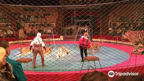Kharkiv Circus